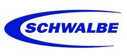 Schwalbe