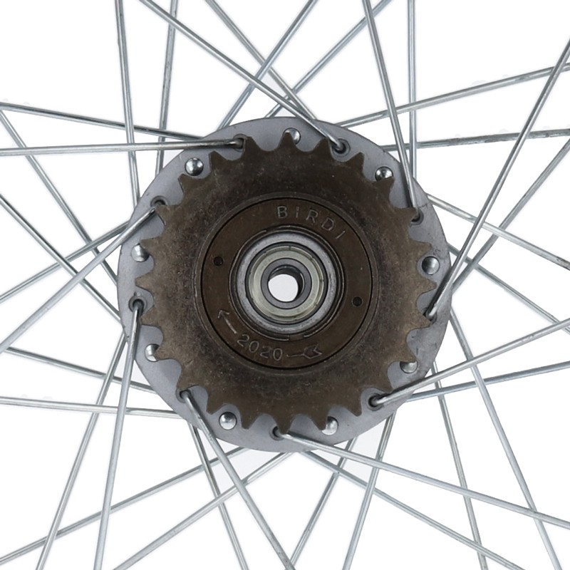 Freewheel disassembly