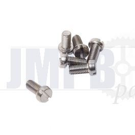 Cylinder bolt M5X10 RVS Din 84