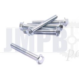 Flange bolt Galvanized M6X45 SW8