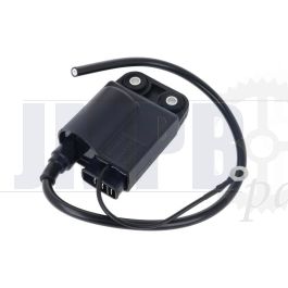 Coil /CDI ELECTRONIC Citta-Ciao