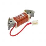 Ignition Coil Citta/Ciao/SI with Block