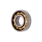 Bearing L17 NSK Bras cage Puch 2/3/4V - Sachs Foot Gear