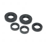 Seal set Complete Puch 2/3 Hand gear