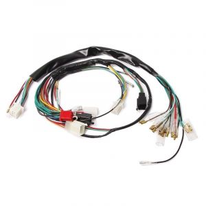 Wiring harness Honda MT Old Model