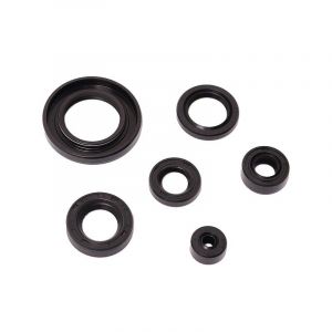 Seal set Complete Suzuki TSX