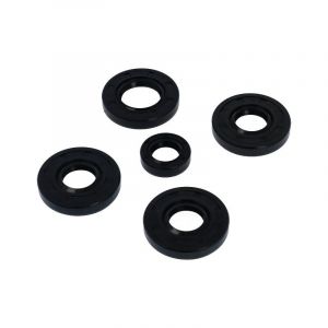 Seal set Puch Maxi Od Type / New Type