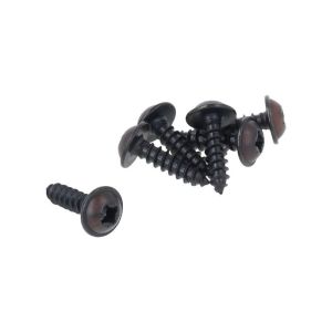 Plate Screw Black 4.2X16MM