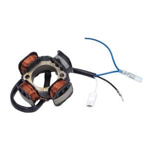 Electronic Ignition Polini Seperate Puch Maxi