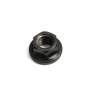Flywheel Nut M10x1.5 ILO G50/V50