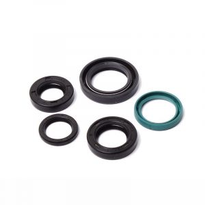 Seal set Vespa Vario versions