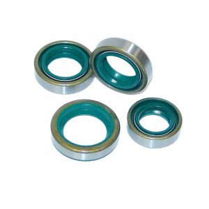Seal set Complete Kreidler