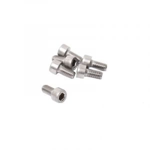 Allen bolt M5X10 SS Din 912