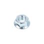 M5 Flange nut Galvanized Din 6923