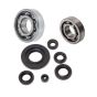 Crankshaft bearing + Seals set Honda MT/MB 50