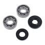 Bearing / Seal set Hercules Prima / Sachs