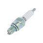 Sparkplug NGK CR6HSA 4-Stroke