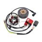 Ignition Kokusan EVO 2 Plus Red Line 6 Volt
