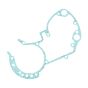 Crankcase Gasket Sachs 2/3/4 Gears