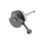 Crankshaft TR Vespa Standard P10