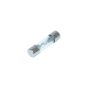 Glass fuse 10 Ampere 25MM