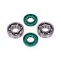 Bearing/Seal set DMP Tomos
