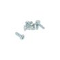 Cylinder screw Galvanized M4X12