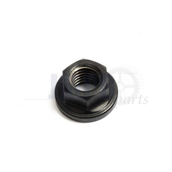 Flywheel Nut M10x1.5 ILO G50/V50