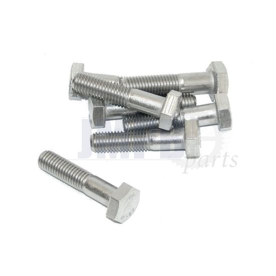 Hex bolt  M10X55 SS Din 931