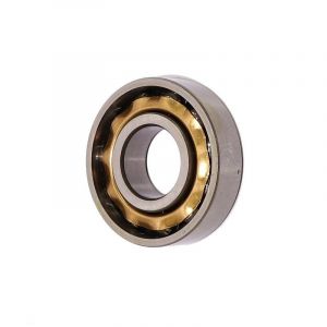 Bearing L17 NSK Brass Cage Puch 2/3/4V - Sachs Foot Gear