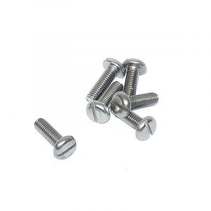 Pan Cylinder head screw Slotted SS M6X12