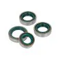 Seal set Complete Kreidler