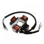 Ignition Electronic Vespa Ciao / Gilera Citta