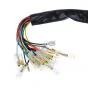 Wiring harness Honda MB