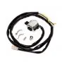 Switch + Wiring Harness Model Merit Puch Maxi S