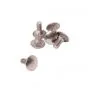 Carriage bolt 5X12 S/S Din 603