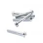 Flange bolt Galvanized M6X40 SW8