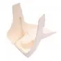 Rear Fender White Honda MB50