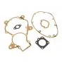 Gasketset Complete Puch MV50 50CC DMP