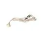 Bulb Led M3 Blank 12 Volt