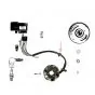 Ignition Grommet Zundapp Model 284