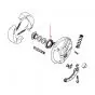 Seal Front wheel/Brake anchor plate Honda MT50