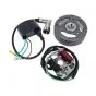 Ignition Electronic Model Bosch Counterclockwise