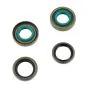 Seal set Sachs 501/50 S