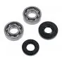 Bearing / Seal set Hercules Prima / Sachs