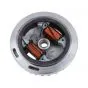 Flywheel Citta/Ciao Points with Coils