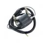 Coil Yamaha K-Star/Hitachi