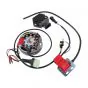 Selettra Inner Rotor Ignition with Light Coil