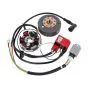 Ignition Kokusan EVO 2 Plus Red Line 12 Volt