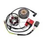 Ignition Kokusan EVO 2 Plus Red Line 6 Volt